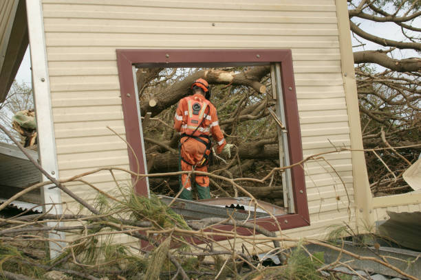 Best Utility Line Clearance  in Perry, OK